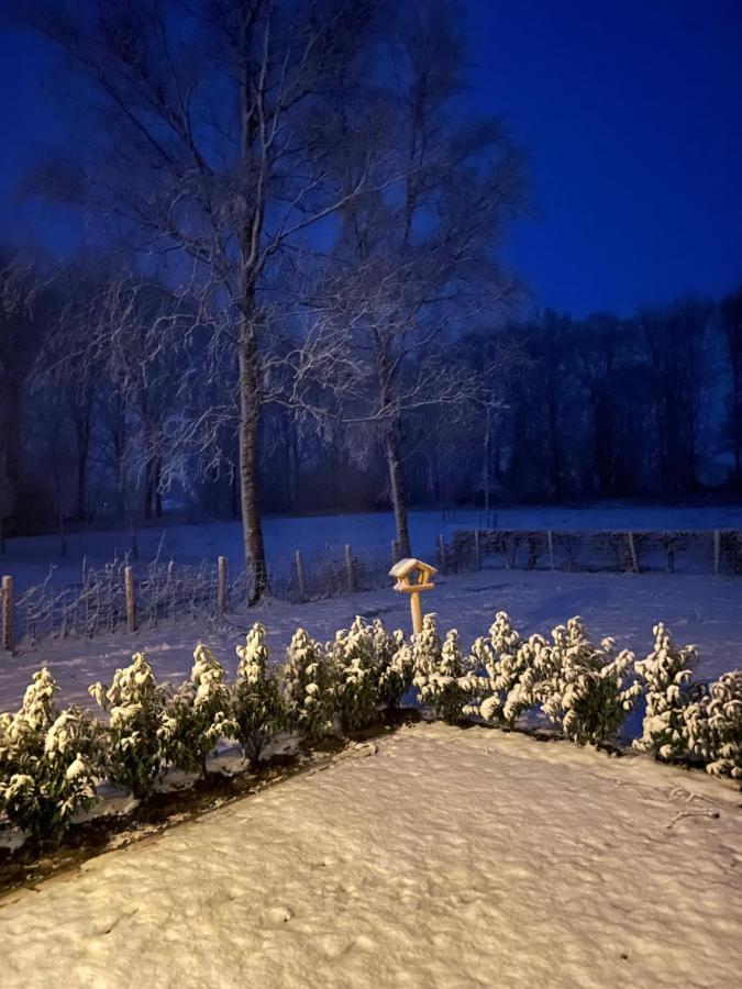 Klein Bosland By Logeren Bij Saar Villa Wijnjewoude Екстериор снимка